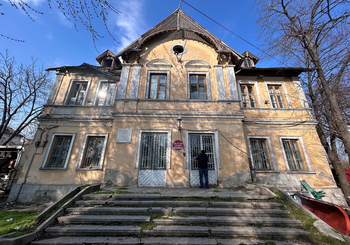 Evaluarea Structurii — Conacul Băilești